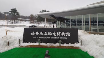 福井県立恐竜博物館に投稿された画像（2026/2/15）