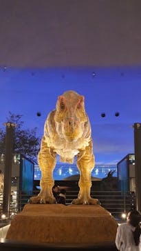 福井県立恐竜博物館に投稿された画像（2026/2/15）