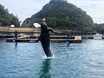 太地町立くじらの博物館に投稿された画像（2026/2/15）