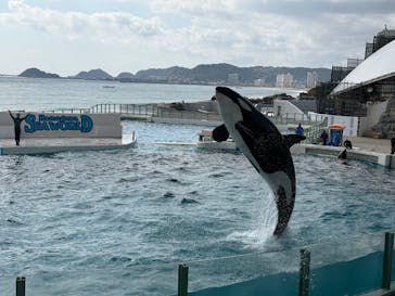 鴨川シーワールドに投稿された画像（2026/2/15）