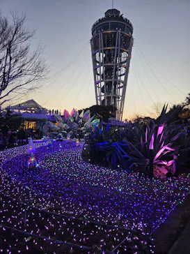 江の島シーキャンドルに投稿された画像（2026/2/15）