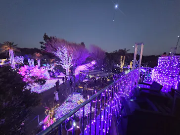 江の島シーキャンドルに投稿された画像（2026/2/15）