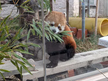 天王寺動物園に投稿された画像（2026/2/15）