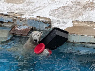 天王寺動物園に投稿された画像（2026/2/15）