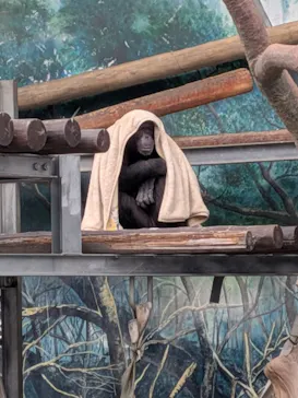 天王寺動物園に投稿された画像（2026/2/15）