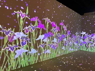 動き出す浮世絵展 OSAKAに投稿された画像（2026/2/15）