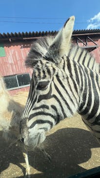 東北サファリパークに投稿された画像（2026/2/15）