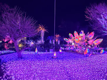 江の島シーキャンドルに投稿された画像（2026/2/15）