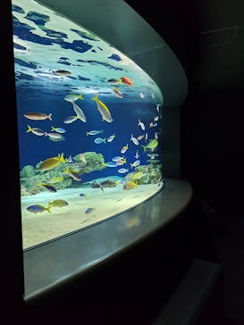 マリンワールド海の中道に投稿された画像（2026/2/15）