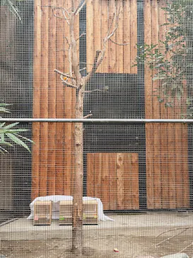 井の頭自然文化園に投稿された画像（2026/2/15）