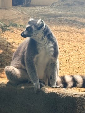 NIFREL（ニフレル）に投稿された画像（2026/2/15）