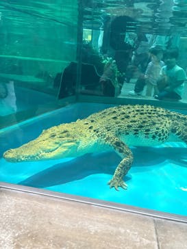 NIFREL（ニフレル）に投稿された画像（2026/2/15）