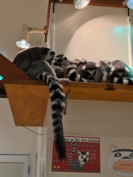 アニタッチららぽーと名古屋みなとアクルスに投稿された画像（2026/2/16）