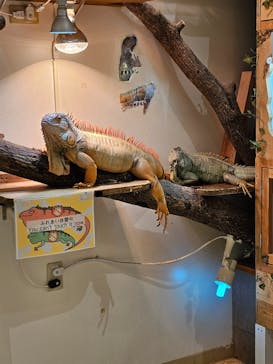 アニタッチららぽーと名古屋みなとアクルスに投稿された画像（2026/2/16）