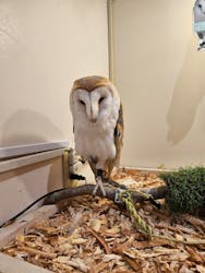 アニタッチららぽーと名古屋みなとアクルスに投稿された画像（2026/2/16）