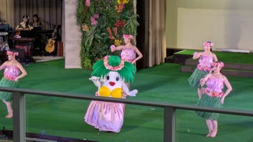 スパリゾートハワイアンズに投稿された画像（2026/2/16）