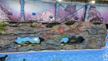 スパリゾートハワイアンズに投稿された画像（2026/2/16）