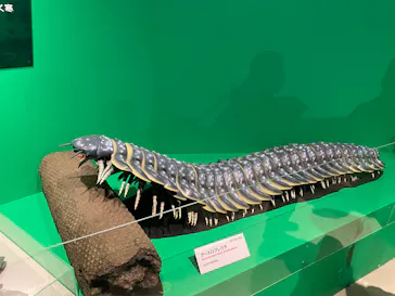 特別展「大絶滅展―生命史のビッグファイブ」に投稿された画像（2026/2/16）