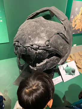 特別展「大絶滅展―生命史のビッグファイブ」に投稿された画像（2026/2/16）