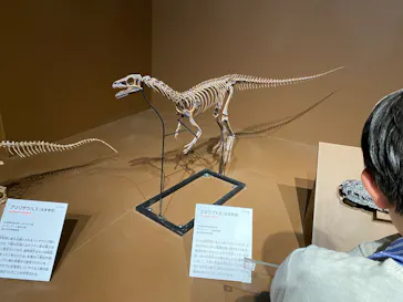 特別展「大絶滅展―生命史のビッグファイブ」に投稿された画像（2026/2/16）