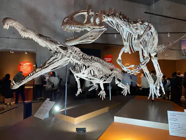 特別展「大絶滅展―生命史のビッグファイブ」に投稿された画像（2026/2/16）