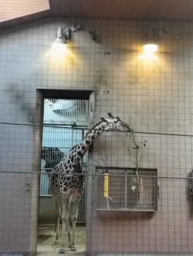 天王寺動物園に投稿された画像（2026/2/16）