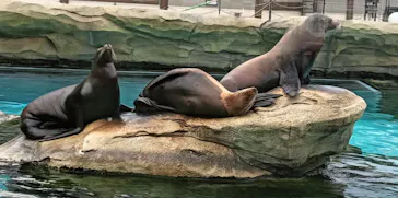 天王寺動物園に投稿された画像（2026/2/16）