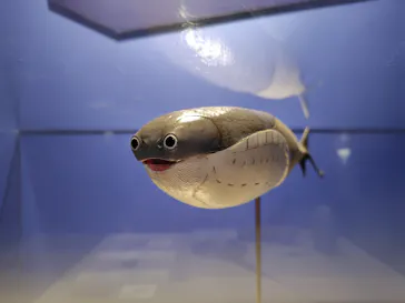 特別展「大絶滅展―生命史のビッグファイブ」に投稿された画像（2026/2/16）