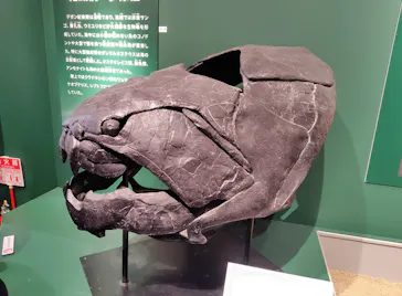 特別展「大絶滅展―生命史のビッグファイブ」に投稿された画像（2026/2/16）