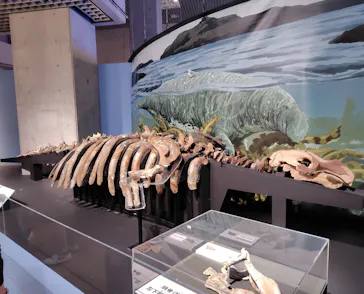 特別展「大絶滅展―生命史のビッグファイブ」に投稿された画像（2026/2/16）