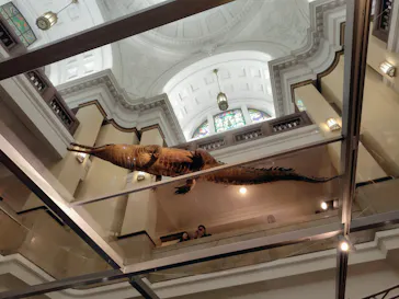 特別展「大絶滅展―生命史のビッグファイブ」に投稿された画像（2026/2/16）