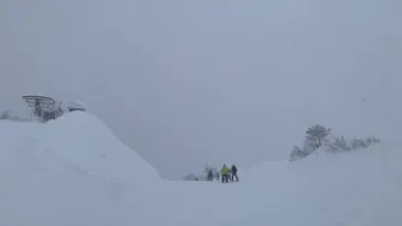 胎内スキー場に投稿された画像（2026/2/16）