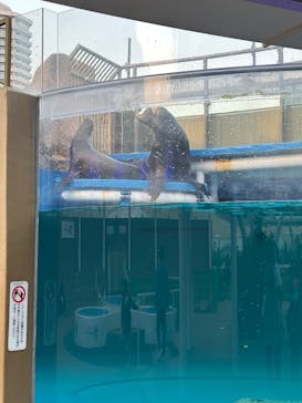 サンシャイン水族館に投稿された画像（2026/2/16）