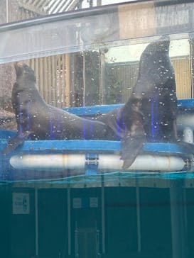 サンシャイン水族館に投稿された画像（2026/2/16）