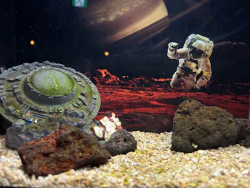 ひらかたパークに投稿された画像（2026/2/16）