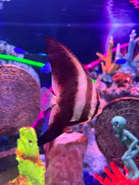 ひらかたパークに投稿された画像（2026/2/16）