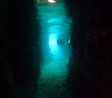 武藤潜水に投稿された画像（2026/2/16）