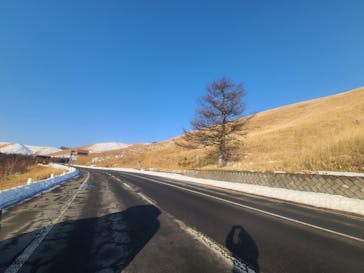 車山高原SKYPARKスキー場に投稿された画像（2026/2/16）