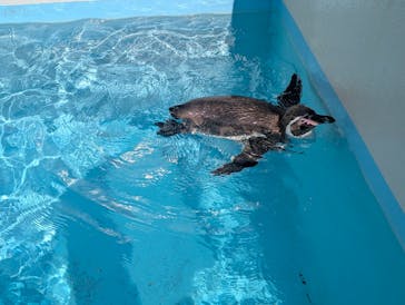 下田海中水族館に投稿された画像（2026/2/16）