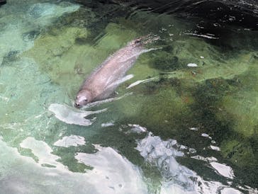 下田海中水族館に投稿された画像（2026/2/16）