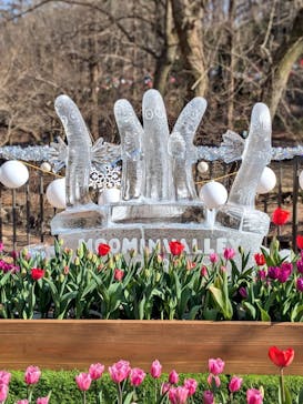 ムーミンバレーパークに投稿された画像（2026/2/16）