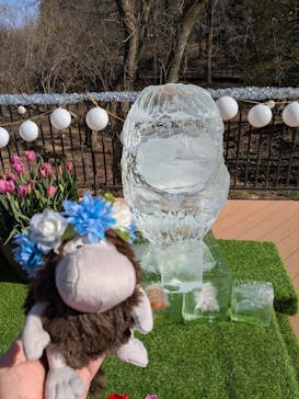 ムーミンバレーパークに投稿された画像（2026/2/16）