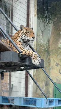 天王寺動物園に投稿された画像（2026/2/16）