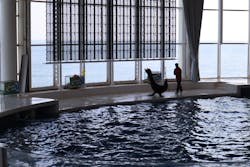 アクアワールド茨城県大洗水族館に投稿された画像（2026/2/16）