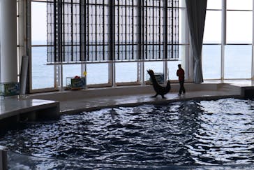 アクアワールド茨城県大洗水族館に投稿された画像（2026/2/16）