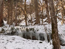 二ツ井町観光協会に投稿された画像（2026/2/16）