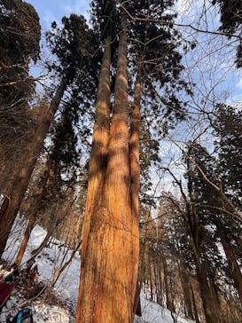 二ツ井町観光協会に投稿された画像（2026/2/16）