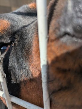 つくばわんわんランドに投稿された画像（2026/2/16）