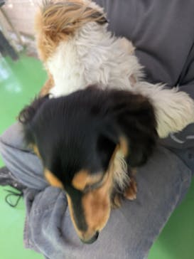 つくばわんわんランドに投稿された画像（2026/2/16）