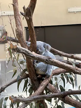 多摩動物公園に投稿された画像（2026/2/16）